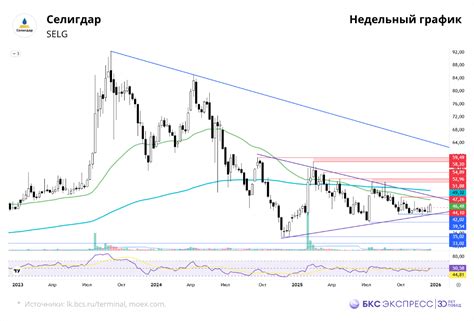 Рост стоимости акций «Селигдара»: анализ ключевых факторов и финансовых результатов